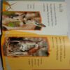 Watching Kangaroos in Australia (BY Louise and Richard Spilsbury)