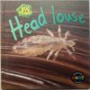 Head Louse (By Karen Hartley, Chris Macro and Philip Taylor)