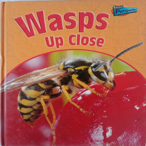 Wasps Up Close ( By Greg Pyers )