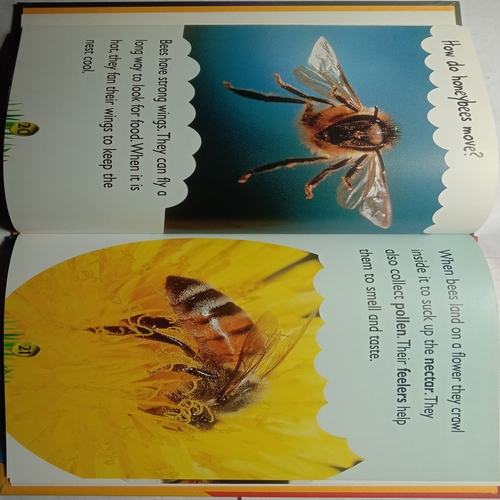 Bee (By Karen Hartley and Chris Macro)