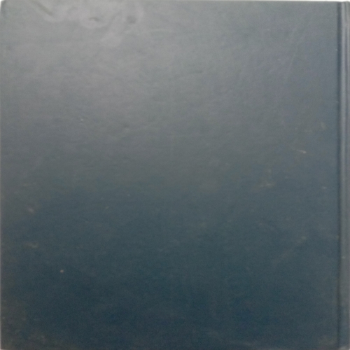 Diary 2009