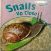 Snails up close ( By Greg Pyers )