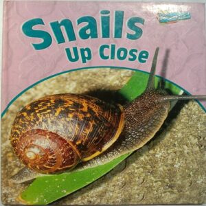 Snails up close ( By Greg Pyers )