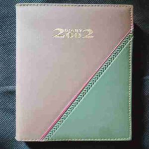 Diary 2002