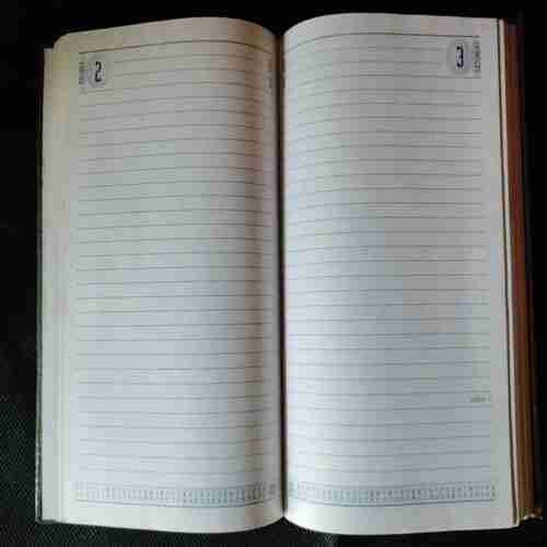 Diary 2002