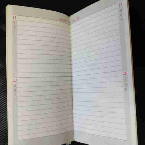 Diary1998
