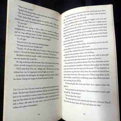 The Witness (Nora Roberts)