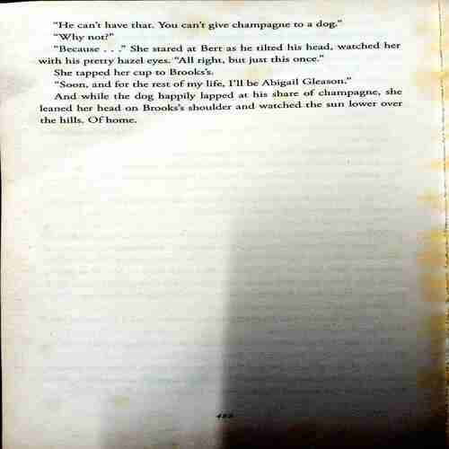 The Witness (Nora Roberts)