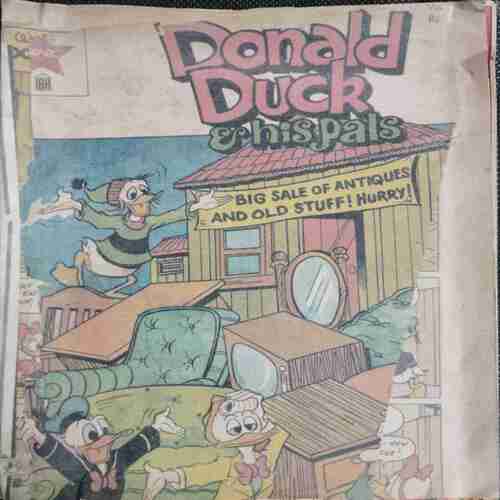 Donald Duck & His Pals