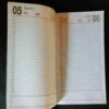 Diary 2000