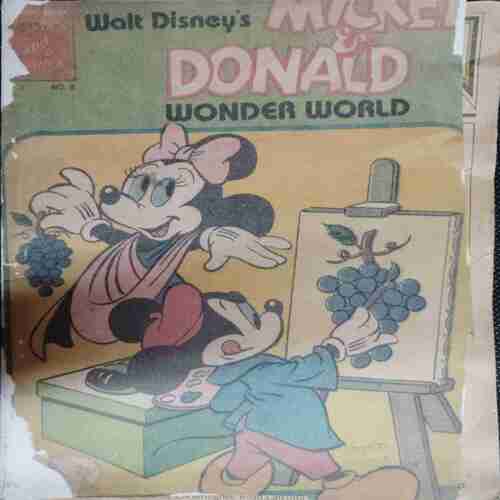 Mickey & Donald in Wonder World