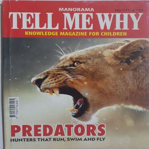 Tell Me Why ( December 2020 )