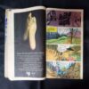 (INDRAJAL COMICS) (SINGLE BINDING 11 IN 1), 1.>MAHAASAAGAR KE LUTERE, 2.>ZANAADOO PAR HAMALA, 3.>DAITY KEE LADAEE, 4.>DHADHAKATA MARUSTHAL, 5.>BRAHMAAND BHAKSHEE, 6.>SAGAR TAL KA RAHASY, 7.>MRGATRSHNA, 8.>PAKSHEE MAANAVON KEE GHAATEE, 9.>ANAJAAN GHAATIYON MEIN, 10.>KARODO KEE CHOREE, 11.>RAHASYON KEE GHAATEE