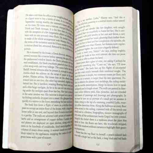 The namesake ( Jhumpa Lahiri )