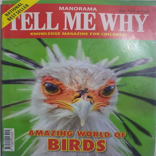 Tell Me Why ( May 2019 )