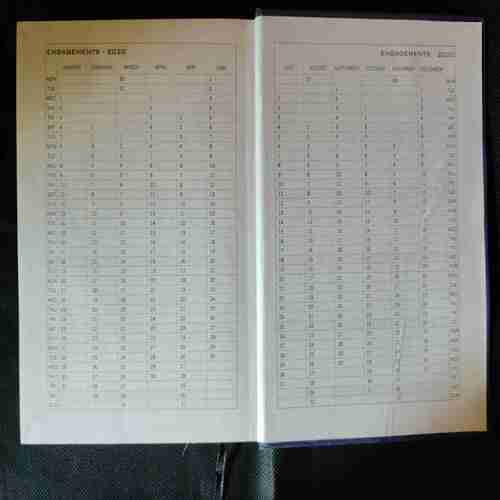 Diary2020