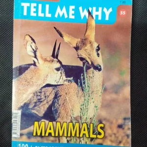 Tell Me Why ( April 2011 ) .