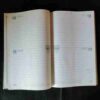 Prince Diary 1997