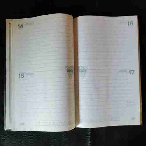 Prince Diary 1997