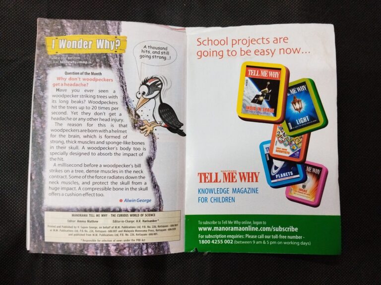 Tell Me Why ( December 2013 ) .