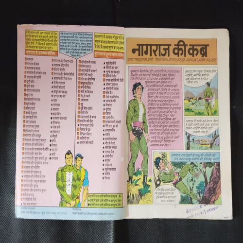 NAGRAJ KEE KABR