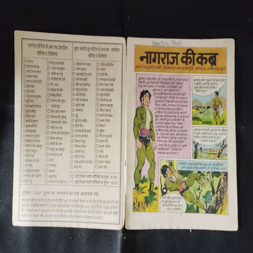NAGRAJ KEE KABR