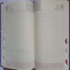 Timeless Diary ( 2020 )