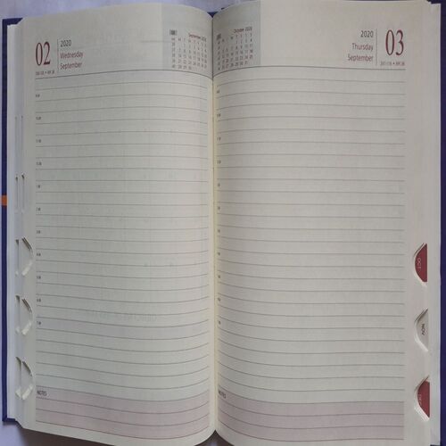 Timeless Diary ( 2020 )