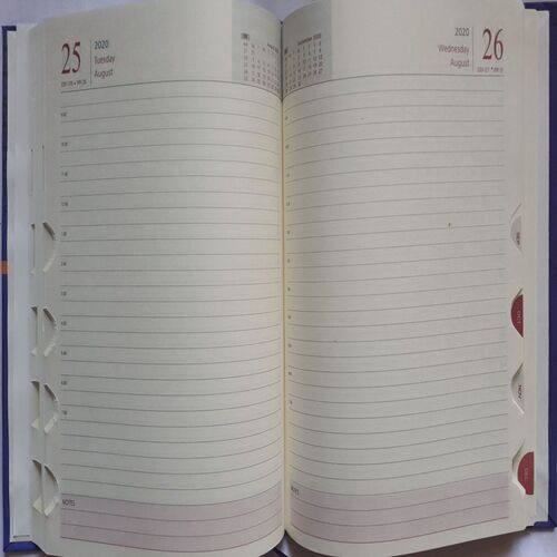Timeless Diary ( 2020 )