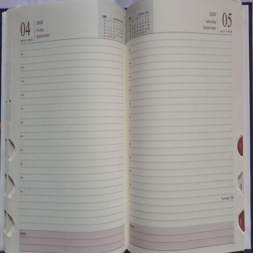 Timeless Diary ( 2020 )