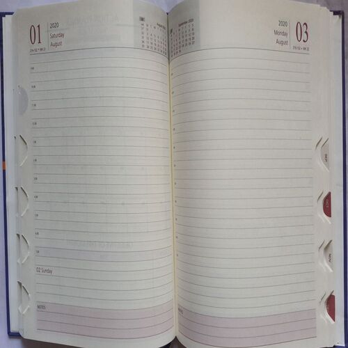 Timeless Diary ( 2020 )
