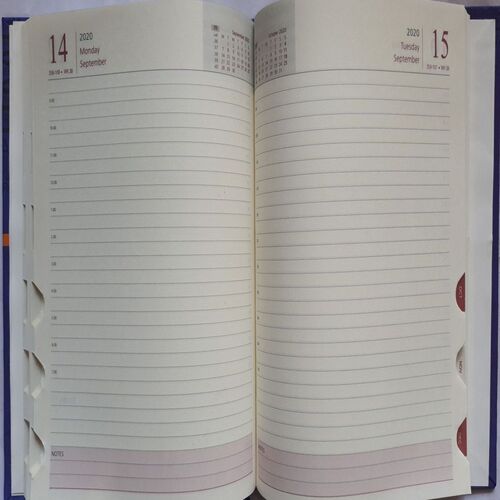 Timeless Diary ( 2020 )