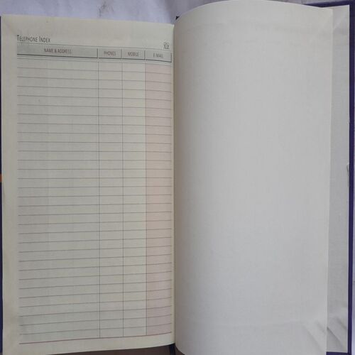 Timeless Diary ( 2020 )