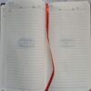 Til Diary (2022)