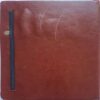 Berger Diary (2021)