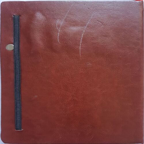 Berger Diary (2021)