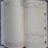 Timeless Diary ( 2020 )