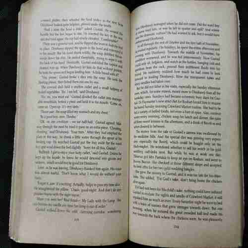 Such A Long Journey ( Rohinton Mistry)