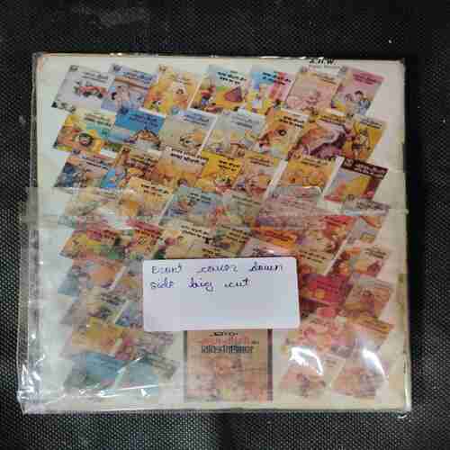 RAMAN AUR VIDEO CASSETTE