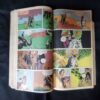 (INDRAJAL COMICS) (SINGLE BINDING 10 IN 1), 1.>THE STRANGLER'S TRAP, 2.>THE SMUGGLER'S RING (PART-1), 3.>THE SMUGGLER'S RING (PART-2), 4.>THE HORROR DUNGEONS, 5.>THE MAGIC SWORD, 6.>THE CALL OF THE JUNGLE, 7.>THE DRAGONS', 8.>THE BROKEN STRINGS, 9.>ALEENA THE ENCHANTRESS (PART-1), 10.>ALEENA THE ENCHANTRESS (PART-2)