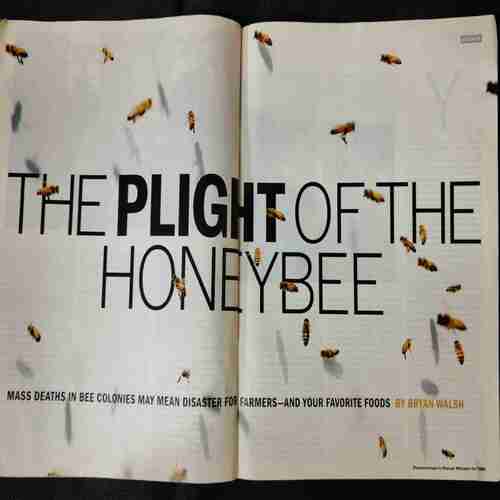 Time  (  August 19, 2013)