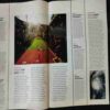 Time  ( October 15, 2018)