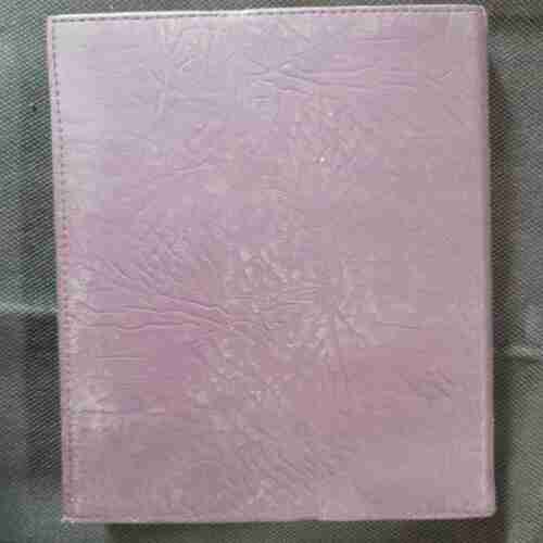 Diary 2001
