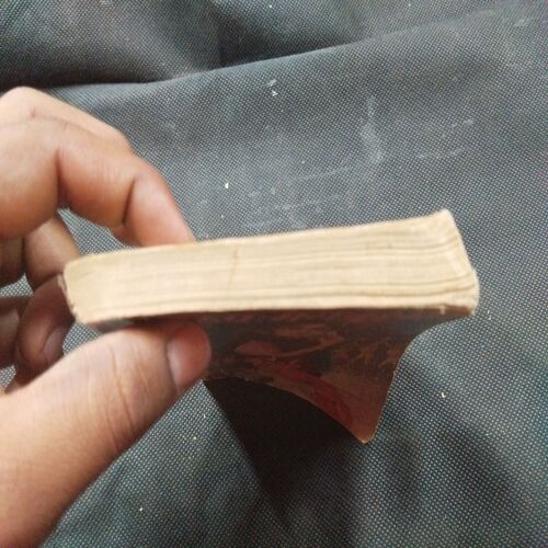 Mera Roop Mera Dushman ( Priyambda Devi ) .