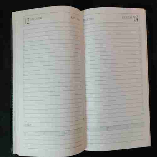 Diary 2001