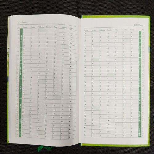 Diary ( 2020 ) .