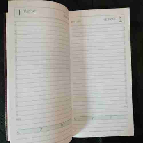 Diary 2001