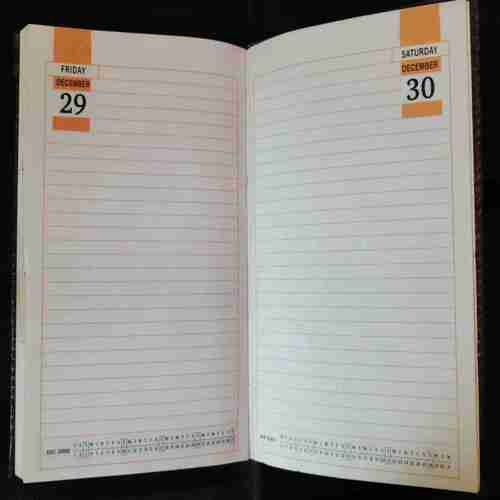 Diary 2000