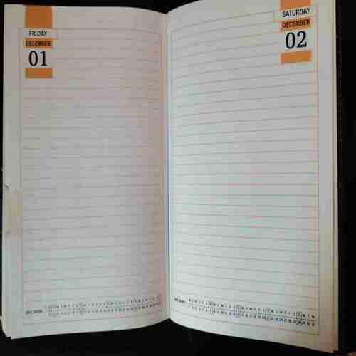 Diary 2000
