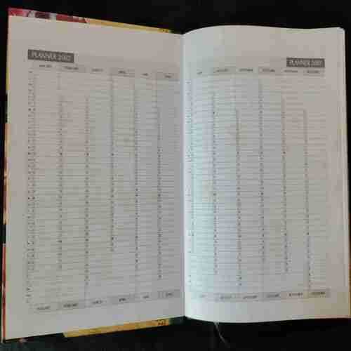 Diary 2002
